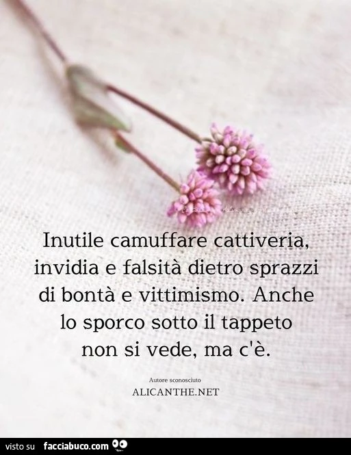 Inutile camuffare cattiveria, invidia e falsità dietro a sprazzi di bontà e vittimismo. Anche lo sporco sotto il tappeto, non si vede, ma c'è