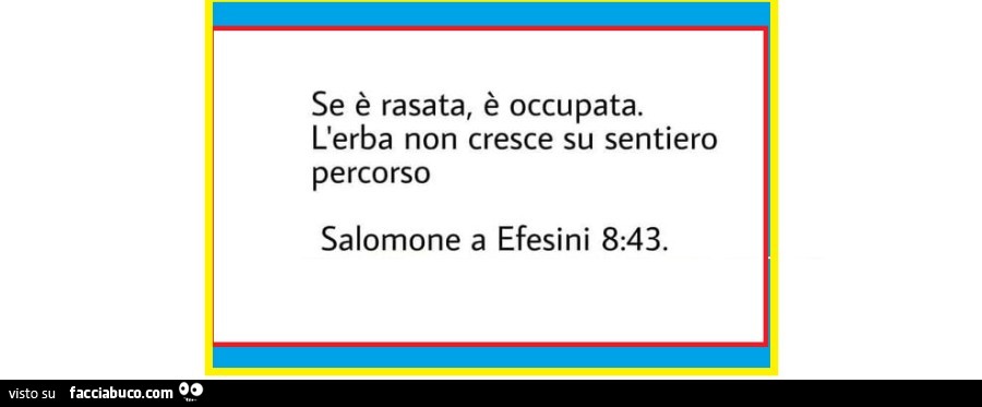 Se è rasata, è occupata. L'erba non cresce su sentiero percorso