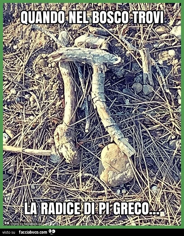 Quando nel bosco trovi la radice di pi greco