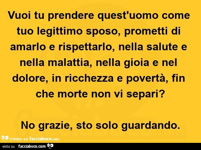 Vuoi tu prendere quest'uomo come tuo legittimo sposo, prometti di amarlo e rispettarlo, nella salute e nella malattia, nella gioia e nel dolore, in ricchezza e povertà, fin che morte non vi separi? No grazie, sto solo guardando