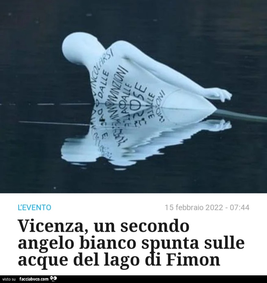 Vaccata