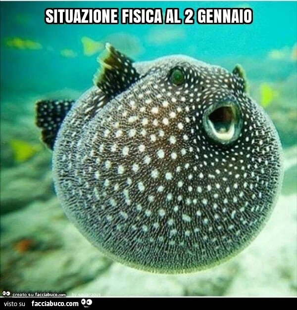 Situazione fisica al 2 gennaio