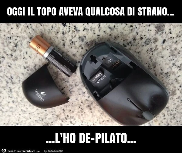 Oggi il topo aveva qualcosa di strano… l'ho de-pilato