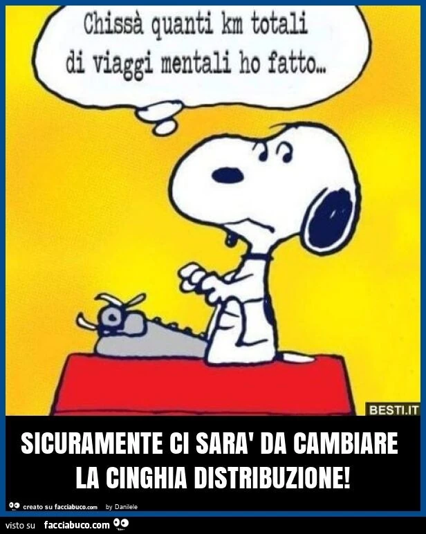 Sicuramente ci sarà da cambiare la cinghia distribuzione