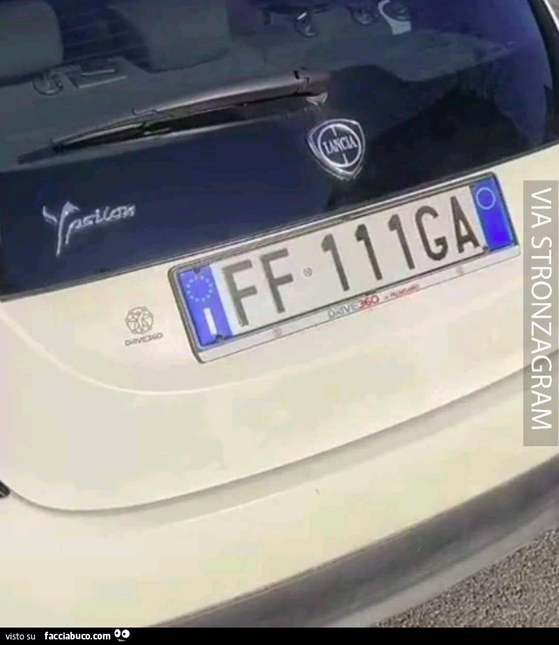 Vaccata