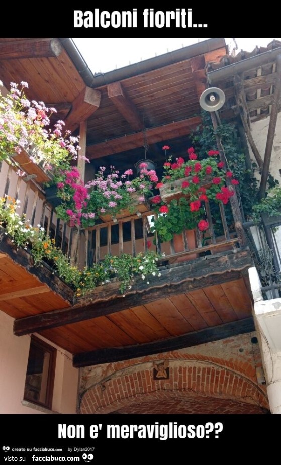 Balconi fioriti… non è meraviglioso?