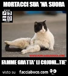 Vaccata