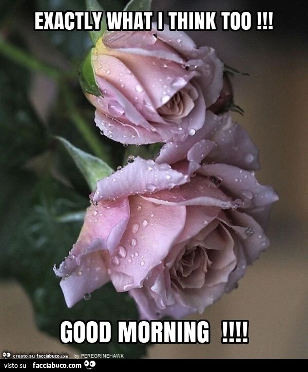Exactly what i think too! Good morning