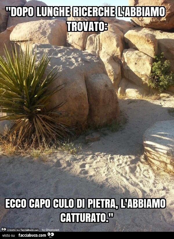 "dopo lunghe ricerche l'abbiamo trovato: ecco capo culo di pietra, l'abbiamo catturato. "