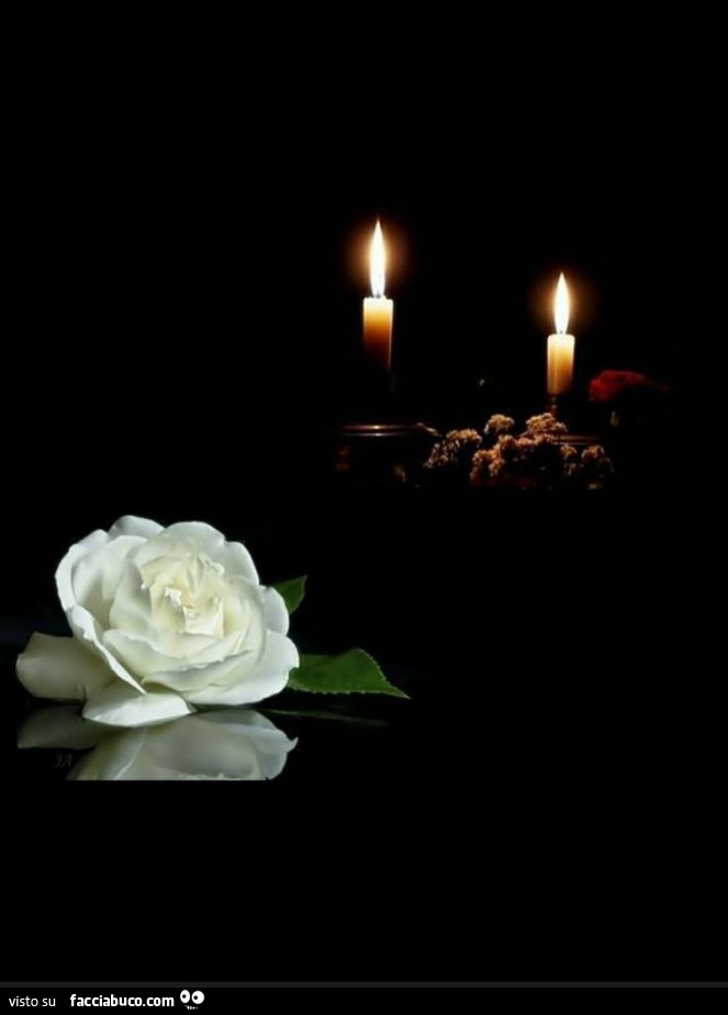 Fiore bianco e candele accese