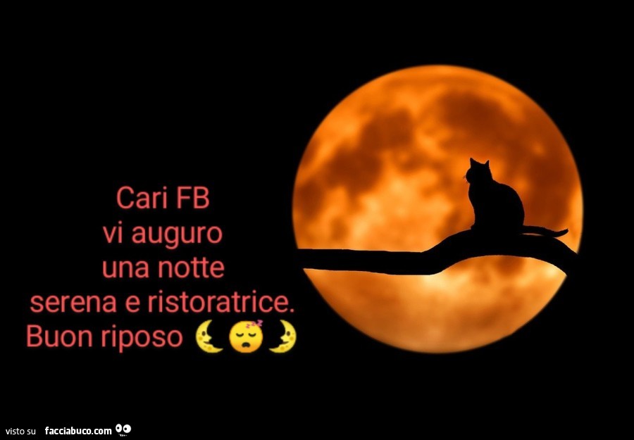 Cari fb vi auguro una notte serena e ristoratrice. Buon riposo