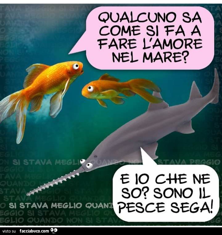 Qualcuno sa come si fa a fare l'amore nel mare