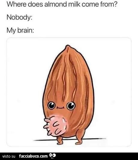 Where does almond milk come from? Nobody: my brain