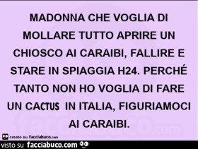 Vaccata