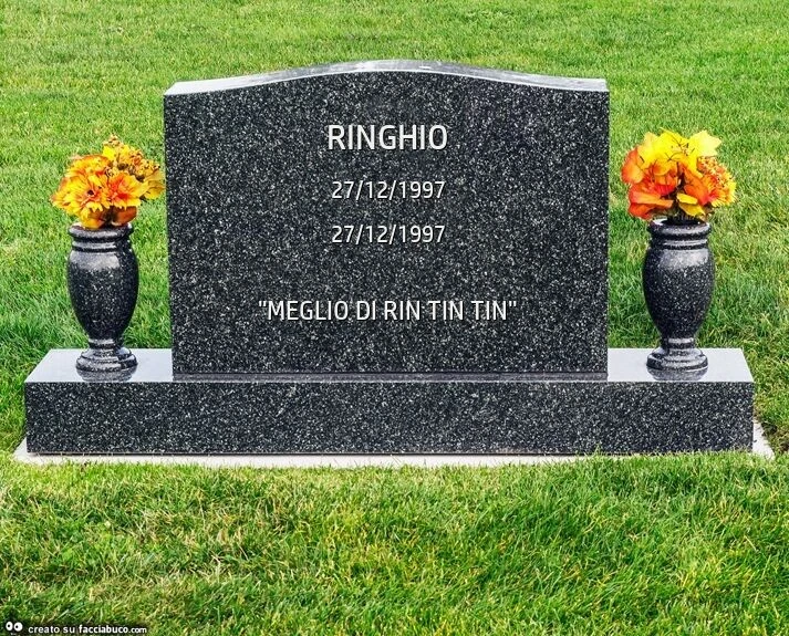 Ringhio. "Meglio di rin tin tin"