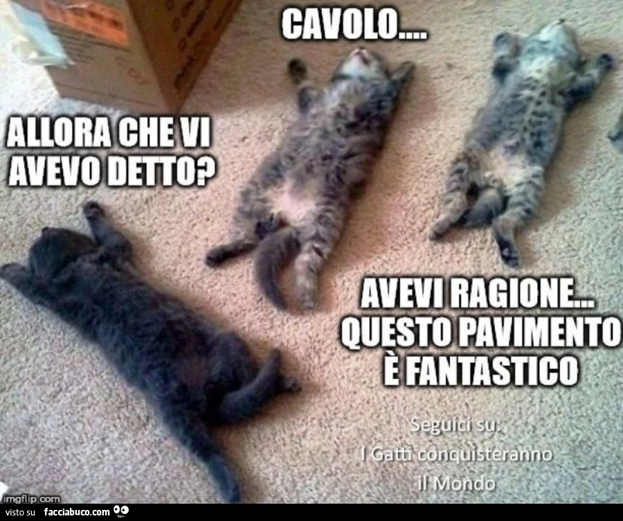 Vaccata