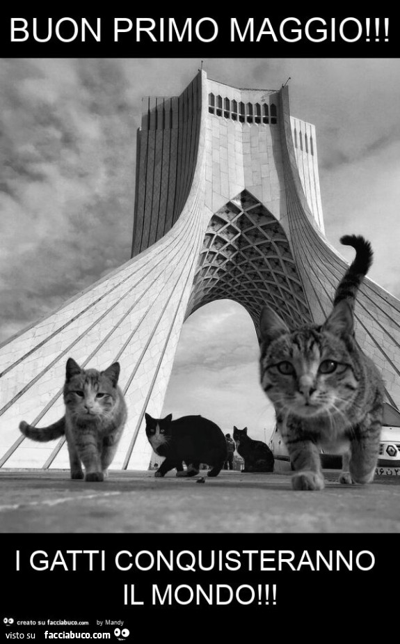 Buon primo maggio! i gatti conquisteranno il mondo