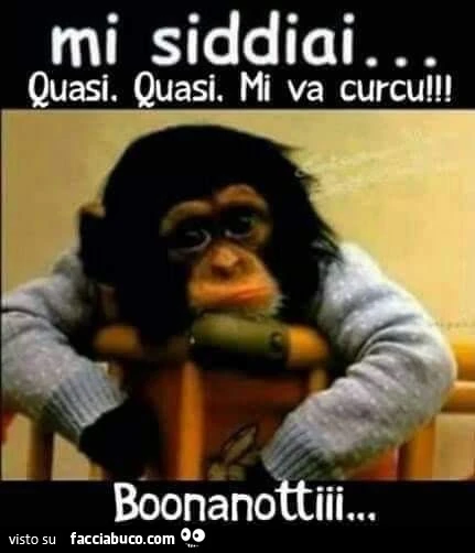 Buonanotte Facciabuco Thaimax