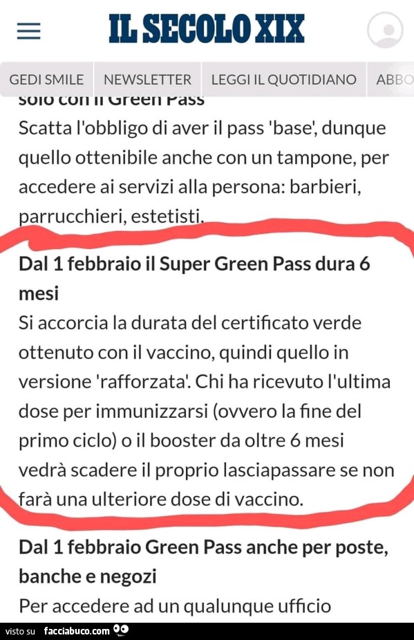 Vaccata