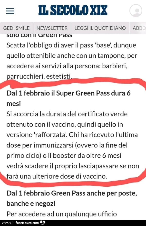 Vaccata