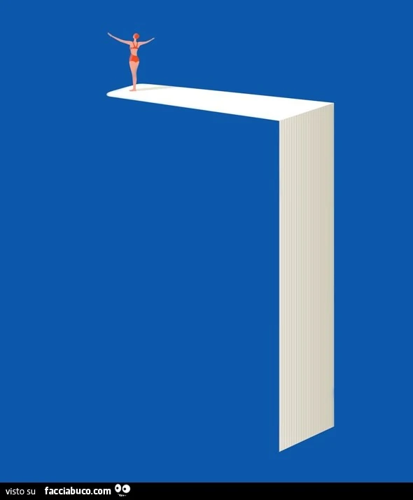 Libro trampolino. Norma Bar