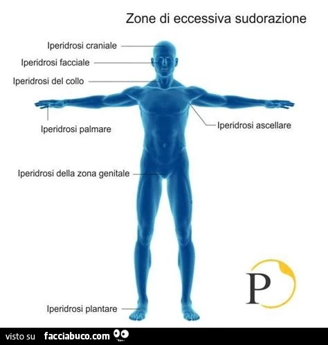 Zone di eccessiva sudorazione