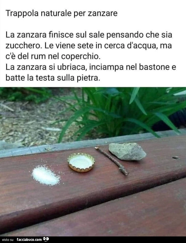 Vaccata