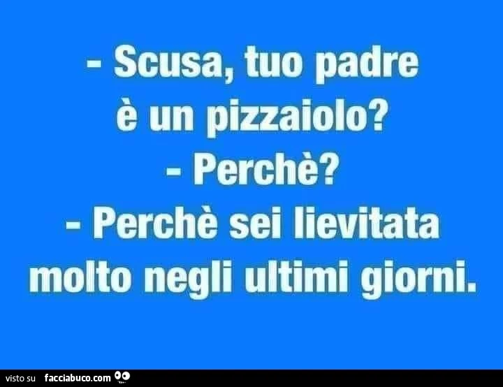 Scusa, tuo padre è un pizzaiolo? Perchè? Perchè sei lievitata molto negli ultimi giorni