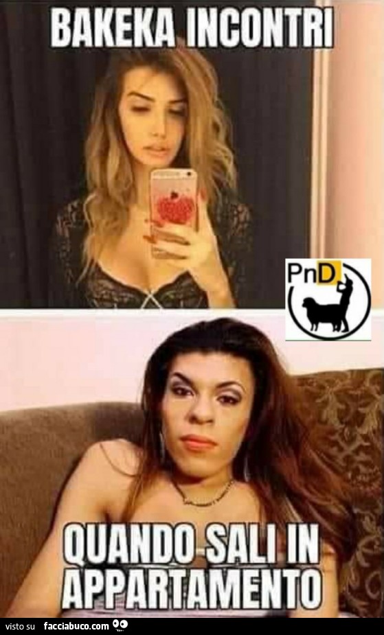 Bakeka incontri quando saluto in appartamento