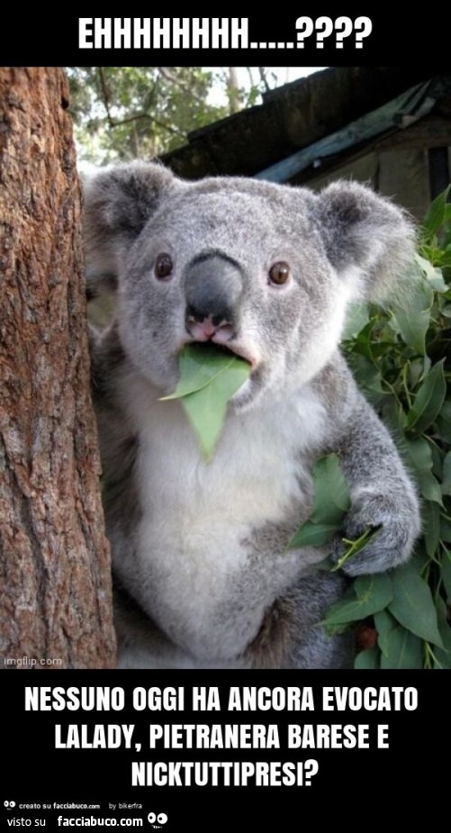 Ehhhhhhhh… ? Nessuno oggi ha ancora evocato lalady, pietranera barese e nicktuttipresi?