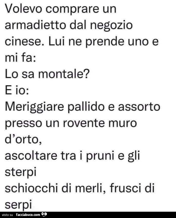 Volevo comprare un armadietto dal negozio cinese. Lui ne prende uno e mi fa: lo sa montale? Meriggiare pallido e assorto presso un rovente muro d'orto, ascoltare tra i pruni e gli sterpi schiocchi di merli, frusci di serpi