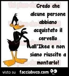 Cervello