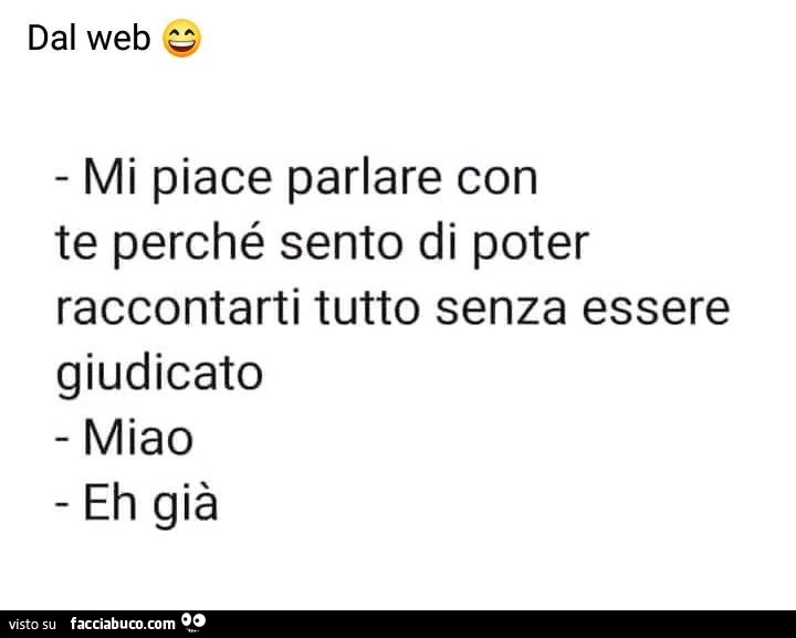 Mi piace parlare con te perché sento di poter raccontarti tutto senza essere giudicato. miao. eh già