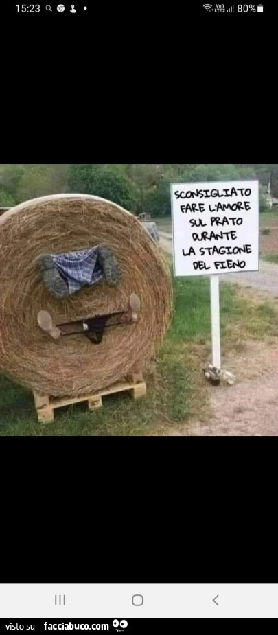 Vaccata