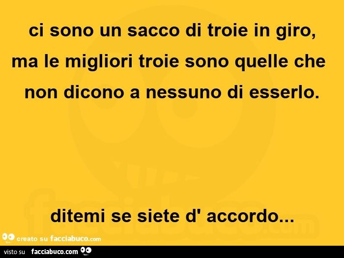 Ci sono un sacco di troie in giro, ma le migliori troie sono quelle che non dicono a nessuno di esserlo. Ditemi se siete d' accordo