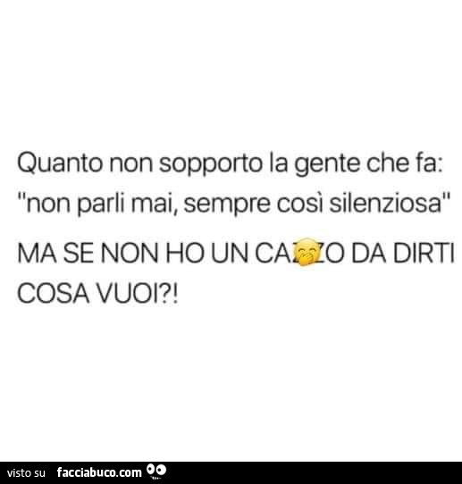 Quanto non sopporto la gente che fa: non parli mai, sempre cosi silenziosa ma se non ho un cazzo da dirti cosa vuoi?