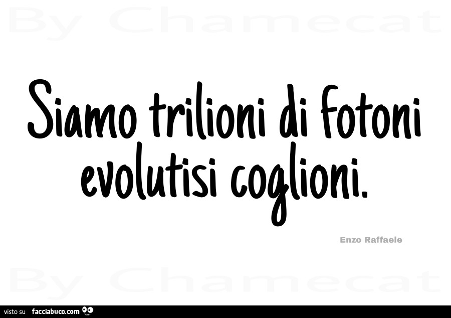 Siamo trilioni di fotoni evolutisi coglioni