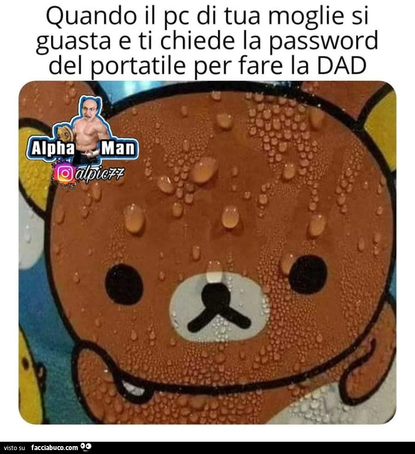 Vaccata