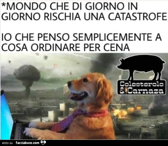 Vaccata