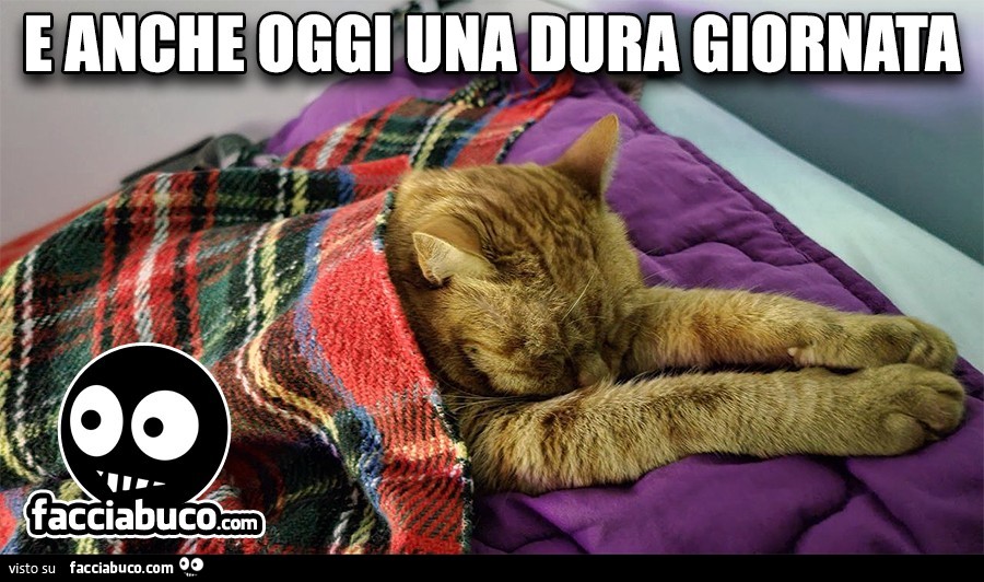 Papuc: e anche oggi una dura giornata