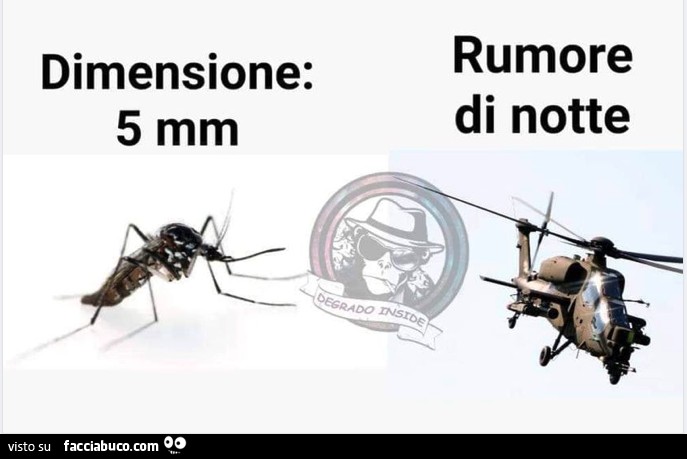 Zanzara: dimensione 5mm rumore di notte elicottero