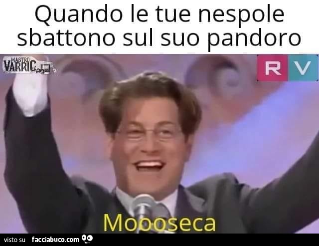 Vaccata
