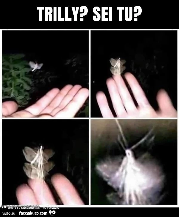Trilly? Sei tu?