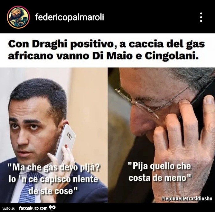 Vaccata