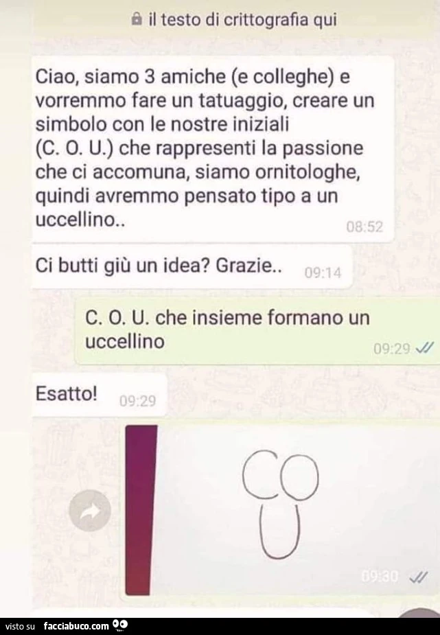 Ciao, siamo 3 amiche e colleghe e vorremmo fare un tatuaggio