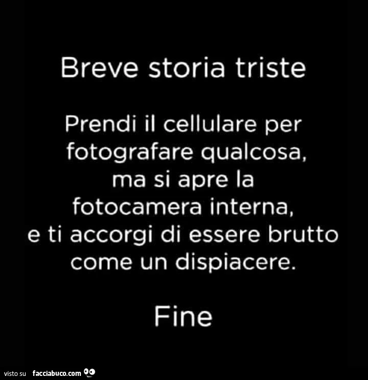Breve storia triste. prendi il cellulare per fotografare qualcosa, ma si apre la fotocamera interna, e ti accorgi di essere brutto come un dispiacere. fine
