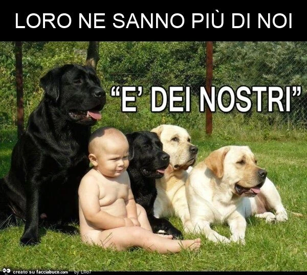 Loro ne sanno più di noi
