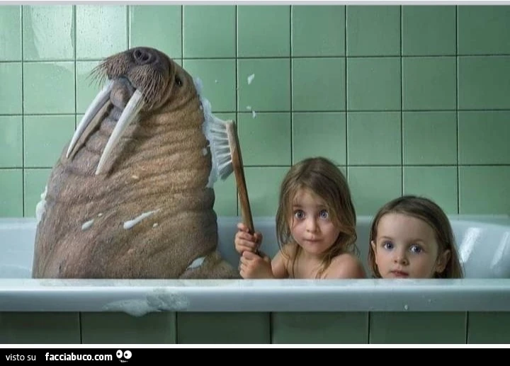 John Wilhelm