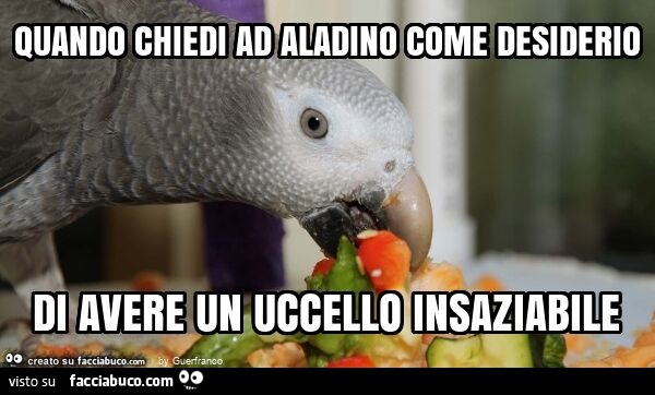 Quando chiedi ad aladino come desiderio di avere un uccello insaziabile