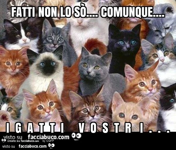 Fatti non lo sò&hellip; comunque&hellip; i g a t t i v o s t r i